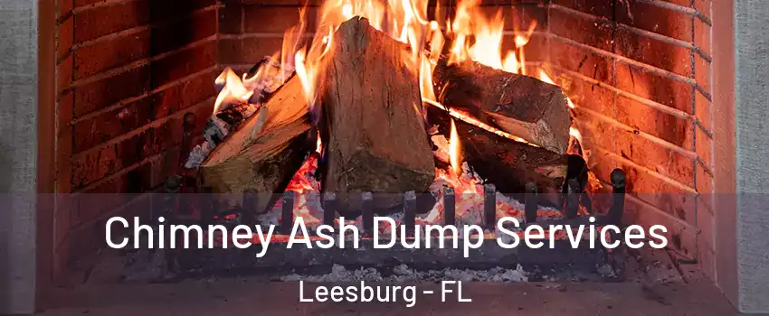  Chimney Ash Dump Services Leesburg - FL