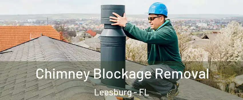  Chimney Blockage Removal Leesburg - FL