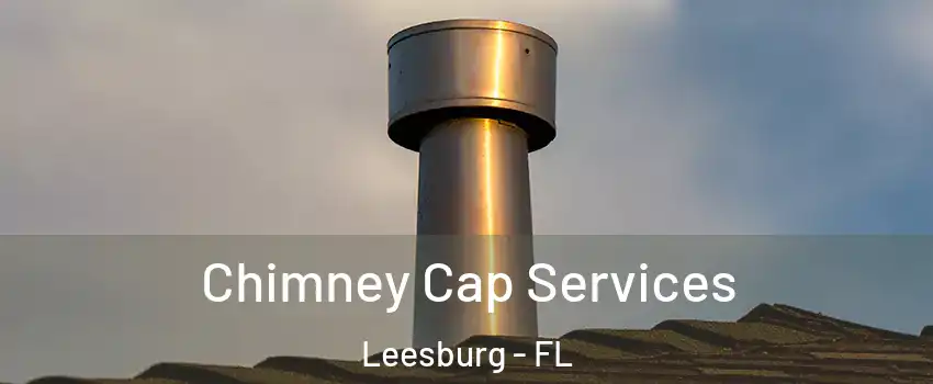  Chimney Cap Services Leesburg - FL