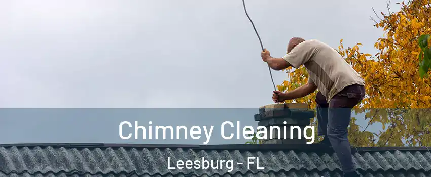  Chimney Cleaning Leesburg - FL