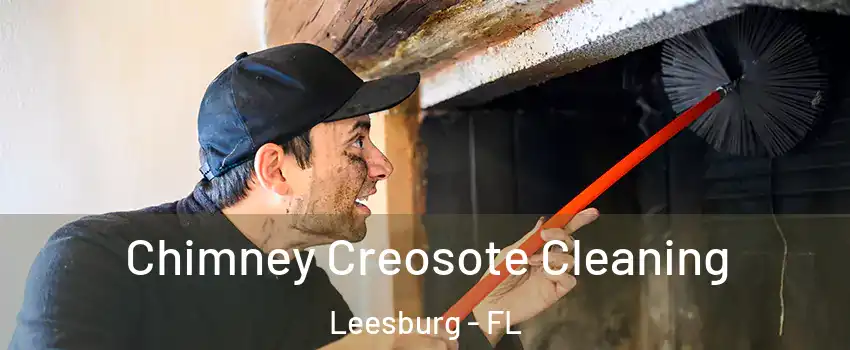  Chimney Creosote Cleaning Leesburg - FL