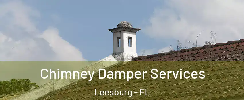  Chimney Damper Services Leesburg - FL