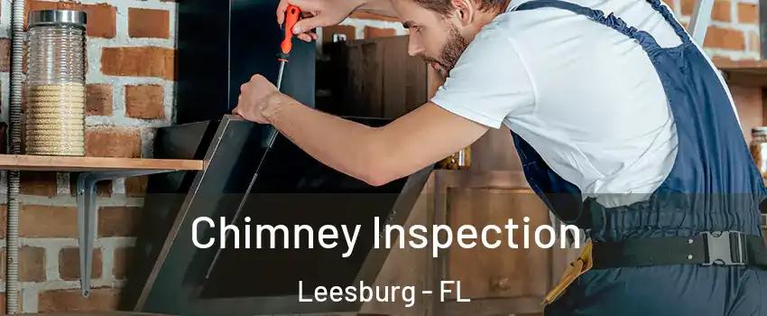  Chimney Inspection Leesburg - FL