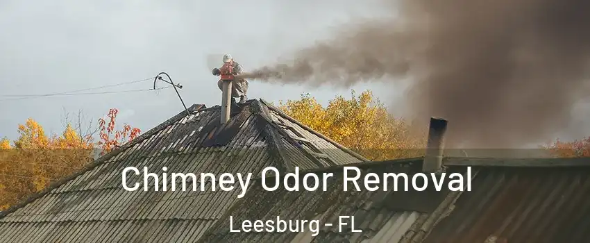  Chimney Odor Removal Leesburg - FL