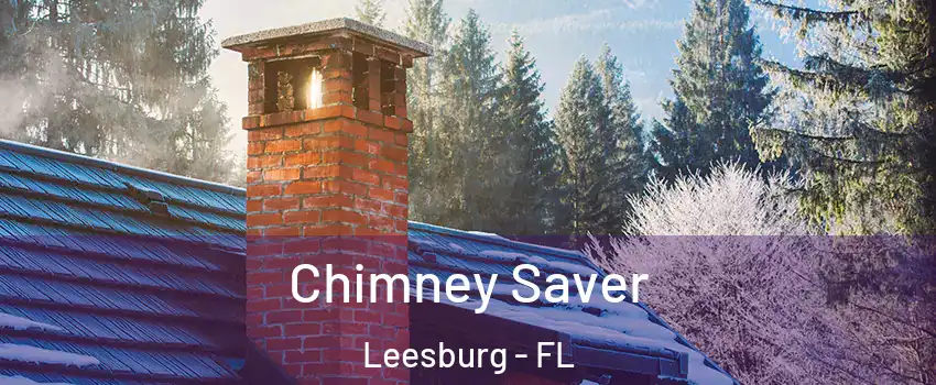  Chimney Saver Leesburg - FL