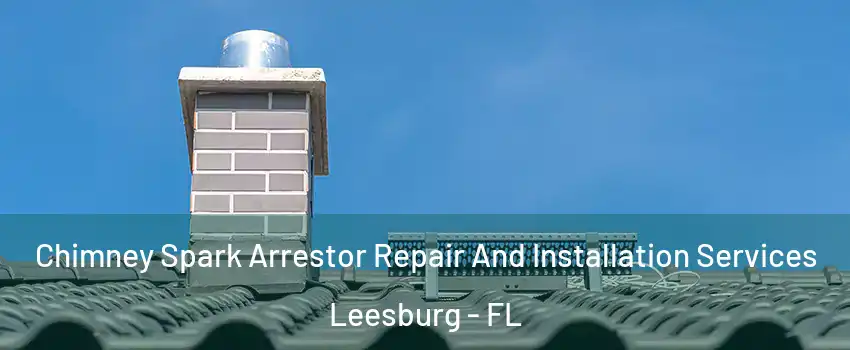  Chimney Spark Arrestor Repair And Installation Services Leesburg - FL