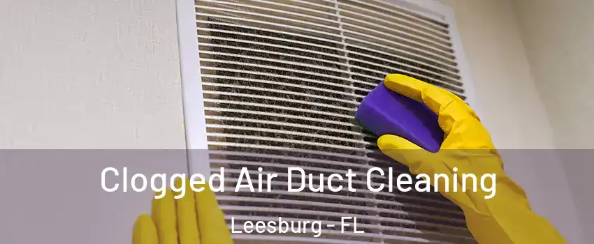  Clogged Air Duct Cleaning Leesburg - FL