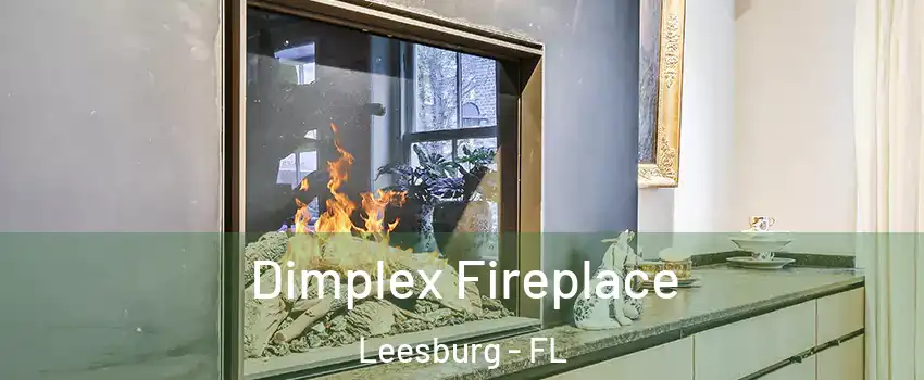  Dimplex Fireplace Leesburg - FL