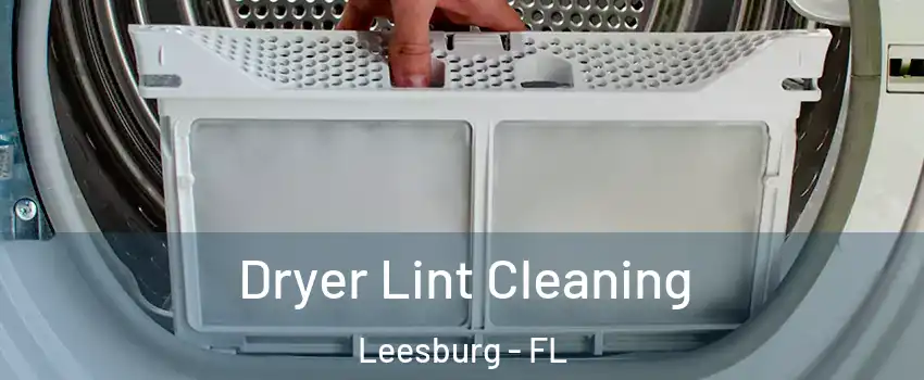  Dryer Lint Cleaning Leesburg - FL