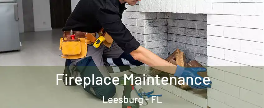  Fireplace Maintenance Leesburg - FL
