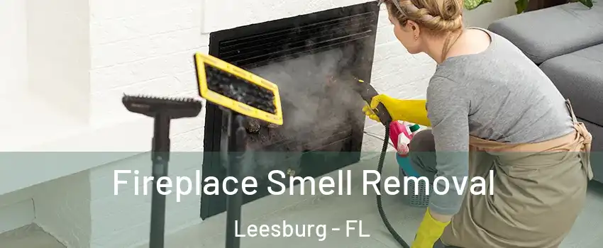  Fireplace Smell Removal Leesburg - FL