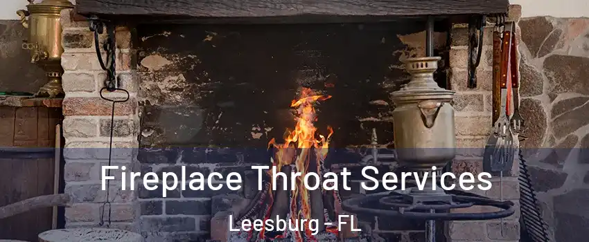  Fireplace Throat Services Leesburg - FL