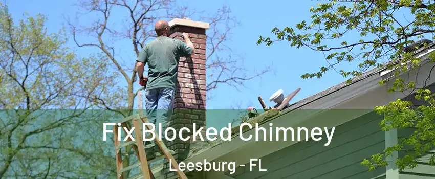  Fix Blocked Chimney Leesburg - FL