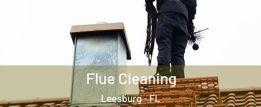  Flue Cleaning Leesburg - FL