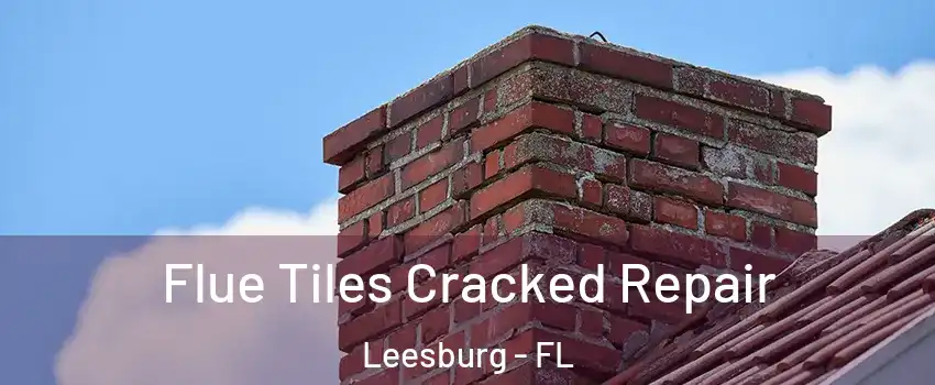  Flue Tiles Cracked Repair Leesburg - FL