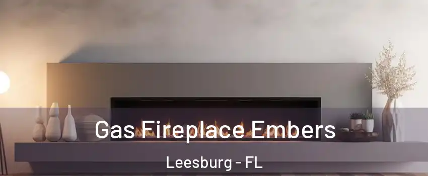  Gas Fireplace Embers Leesburg - FL