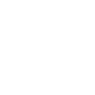 Professional Chimney Flue Installation in Leesburg, Florida
