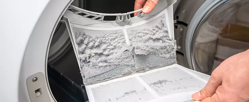 Best Dryer Lint Removal Company in Leesburg, Florida