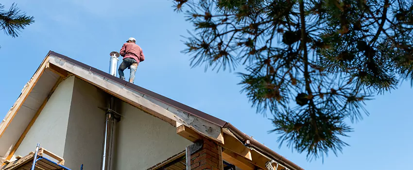 Birds Removal Contractors from Chimney in Leesburg, FL