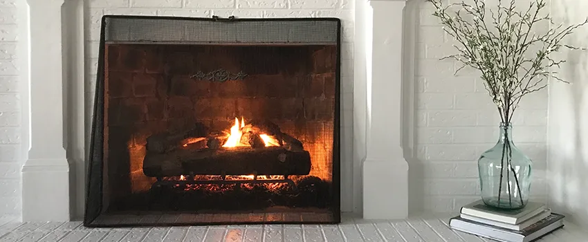 Cost-Effective Fireplace Mantel Inspection And Maintenance in Leesburg, FL