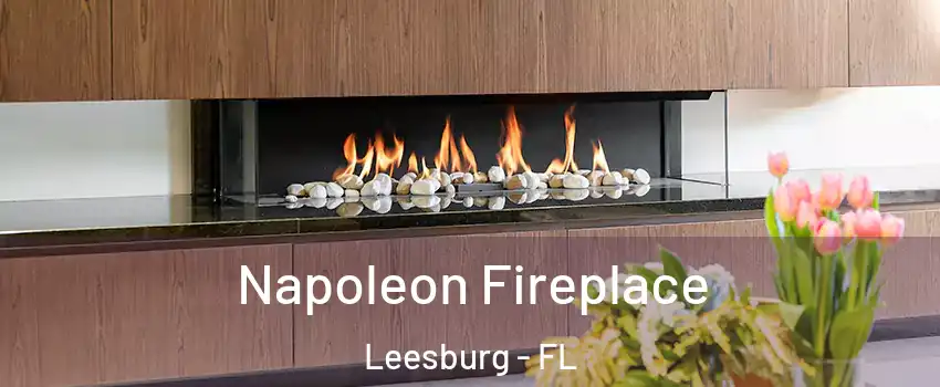  Napoleon Fireplace Leesburg - FL