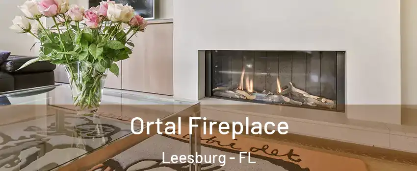 Ortal Fireplace Leesburg - FL