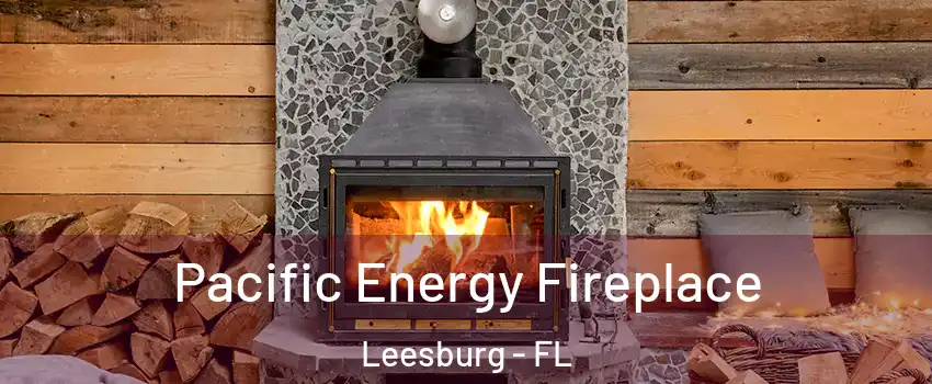  Pacific Energy Fireplace Leesburg - FL
