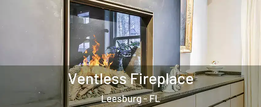  Ventless Fireplace Leesburg - FL
